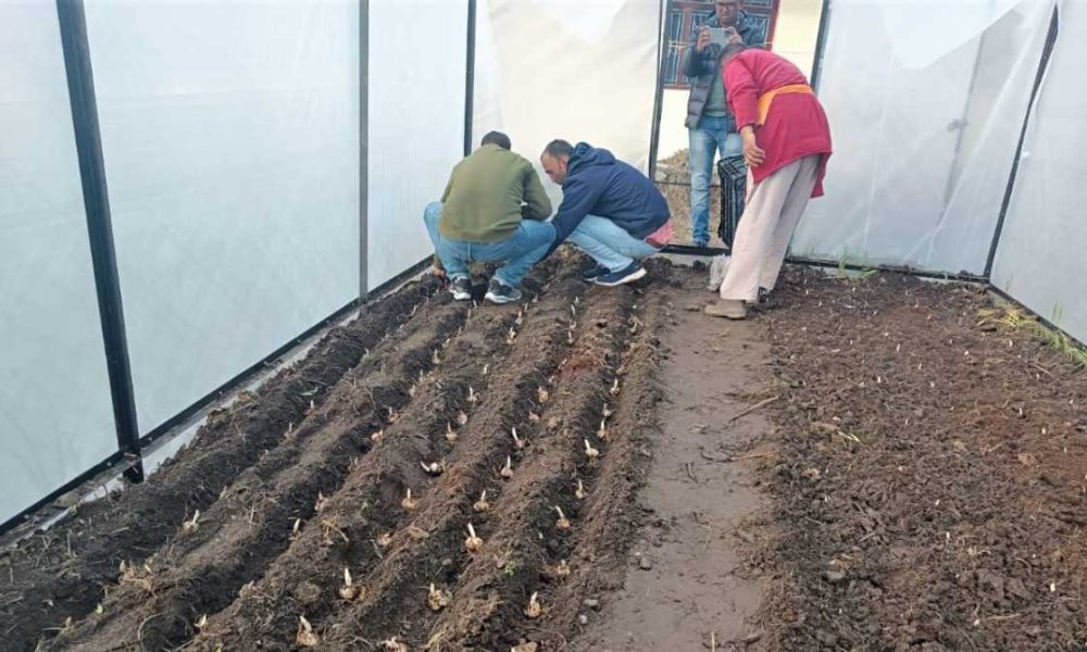 किसानों की अनुकूलन को मदद कम, सब्सिडी ज़्यादा