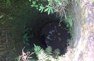 3 दिन से 20 फीट गहरे कुएं में फंसा कुत्ता, साथ में जहरीली गोह- पशु प्रेमी सन्नी पंजाबी ने शुरू किया जोखिम भरा रेस्क्यू 