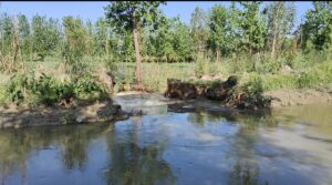 चरथावल क्षेत्र में नहर टूटने से 300 बीघा फसल जलमग्न, किसानों में भारी आक्रोश, विधायक पंकज मलिक ने लिया संज्ञान