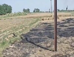 विद्युत विभाग की लापरवाही से किसान की 6 बीघा गेहूं की फसल जलकर राख, भाकियू ने मुआवजे की मांग उठाई