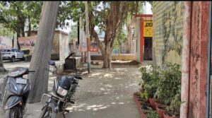 सीएचसी चरथावल में सूखा पेड़ बना खतरा, हादसे को दे रहा न्यौता, मरीजों और स्टाफ में दहशत