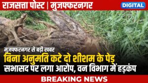 मुजफ्फरनगर में बिना अनुमति कटे दो शीशम के पेड़, सभासद पर आरोप